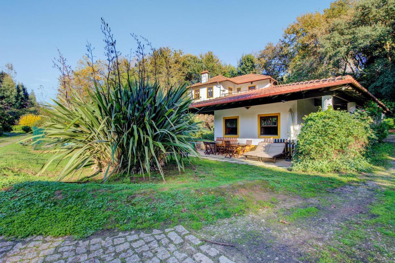 Casa Do Moinho Rural Campo E Praia , 9 Pessoas, Animais Benvindos Espinho  Buitenkant foto