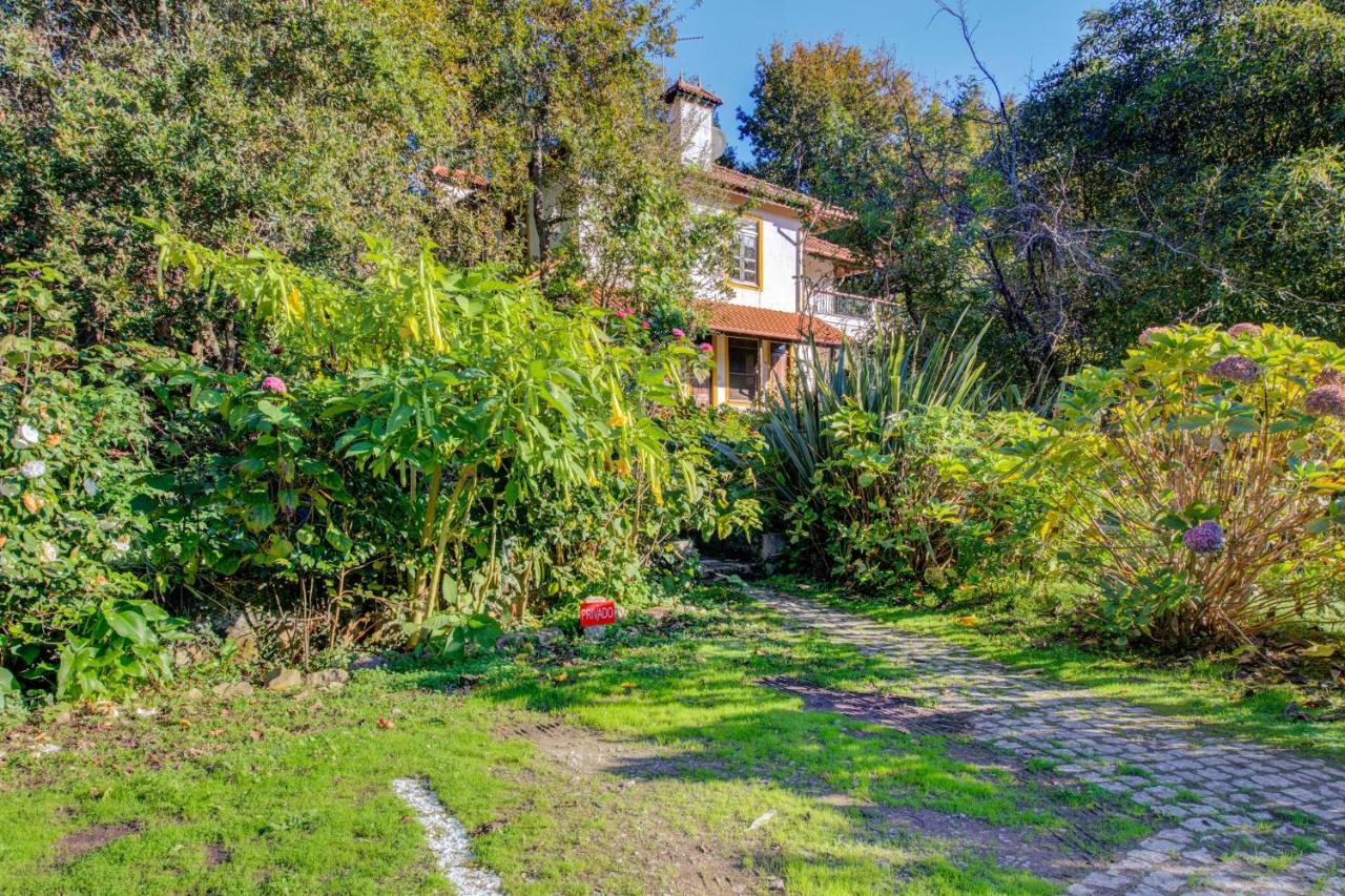 Casa Do Moinho Rural Campo E Praia , 9 Pessoas, Animais Benvindos Espinho  Buitenkant foto