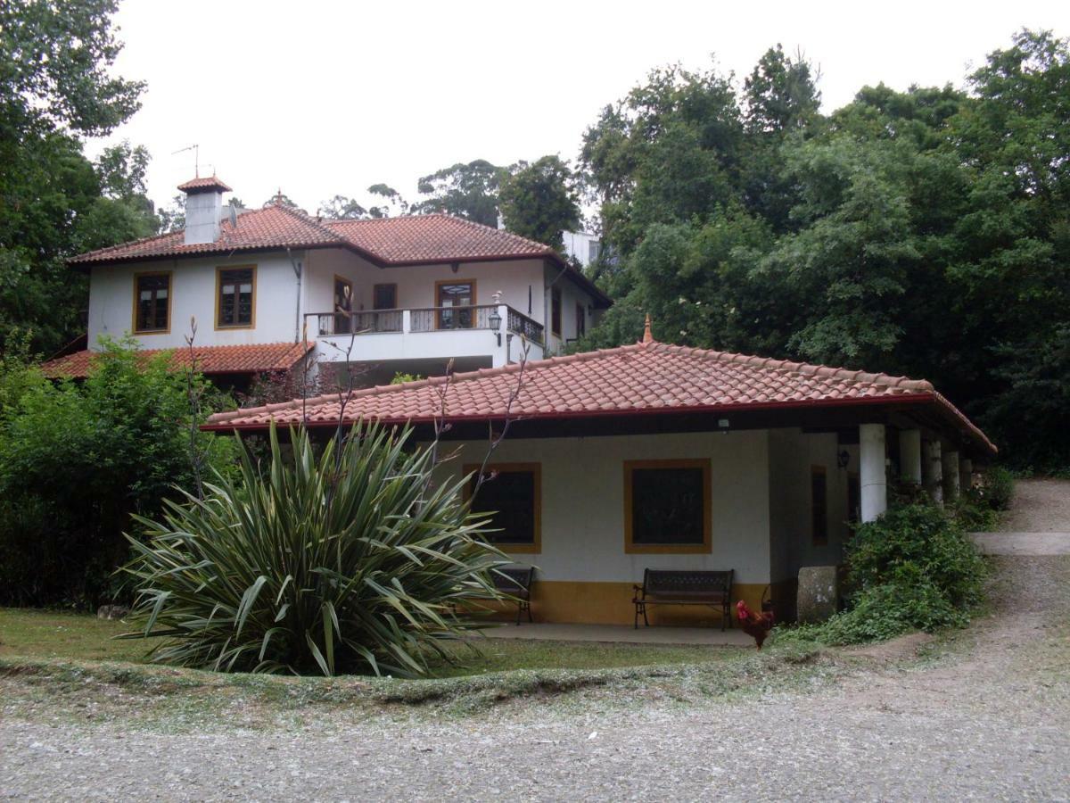 Casa Do Moinho Rural Campo E Praia , 9 Pessoas, Animais Benvindos Espinho  Buitenkant foto
