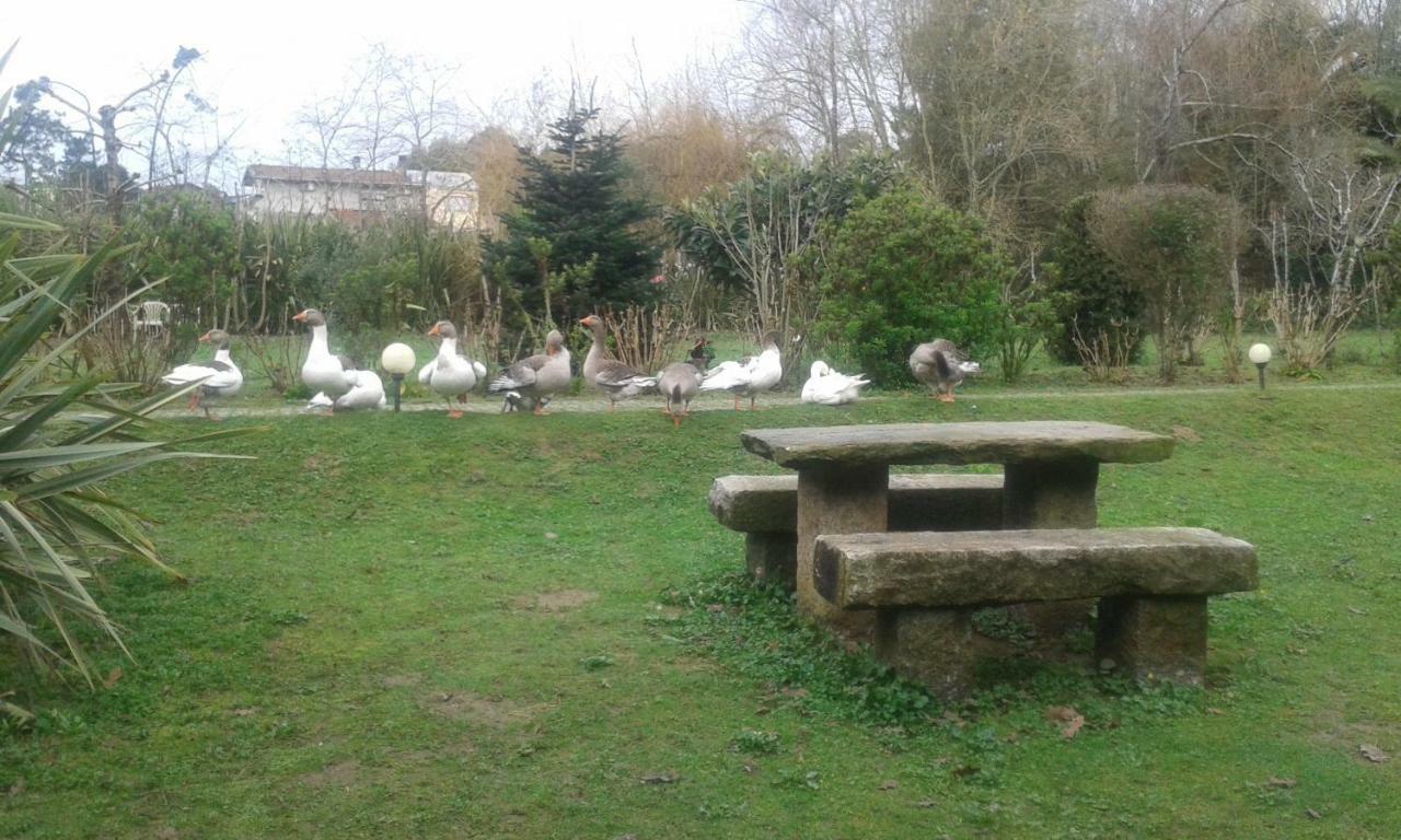 Casa Do Moinho Rural Campo E Praia , 9 Pessoas, Animais Benvindos Espinho  Buitenkant foto
